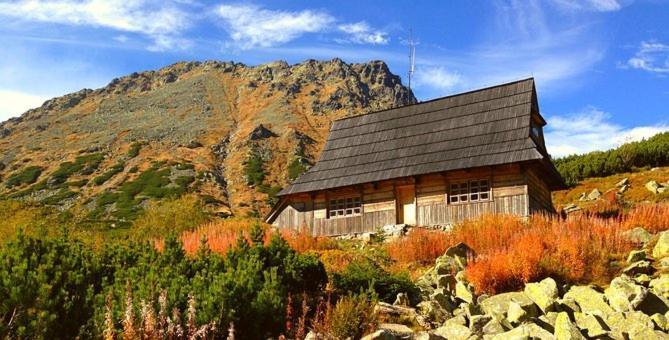 A3Apartament 2 Pokojowy Aneks Kuchenny 2 Lazienki Wlasne Na Korytarzu Villa Jumper Pobyt Na Termach Dla 2 Osob Gratis Zakopane Luaran gambar