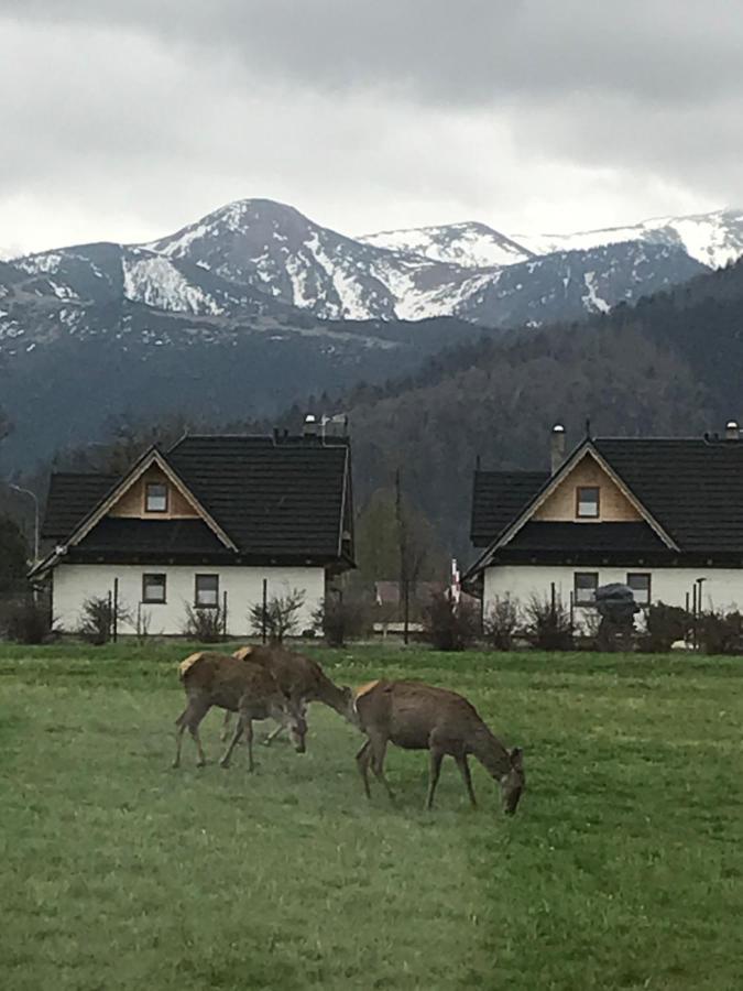 A3Apartament 2 Pokojowy Aneks Kuchenny 2 Lazienki Wlasne Na Korytarzu Villa Jumper Pobyt Na Termach Dla 2 Osob Gratis Zakopane Luaran gambar