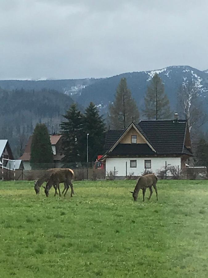 A3Apartament 2 Pokojowy Aneks Kuchenny 2 Lazienki Wlasne Na Korytarzu Villa Jumper Pobyt Na Termach Dla 2 Osob Gratis Zakopane Luaran gambar