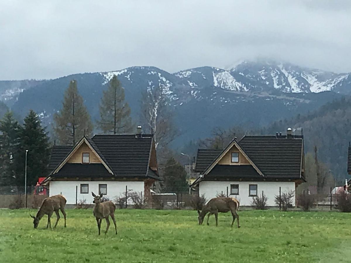 A3Apartament 2 Pokojowy Aneks Kuchenny 2 Lazienki Wlasne Na Korytarzu Villa Jumper Pobyt Na Termach Dla 2 Osob Gratis Zakopane Luaran gambar